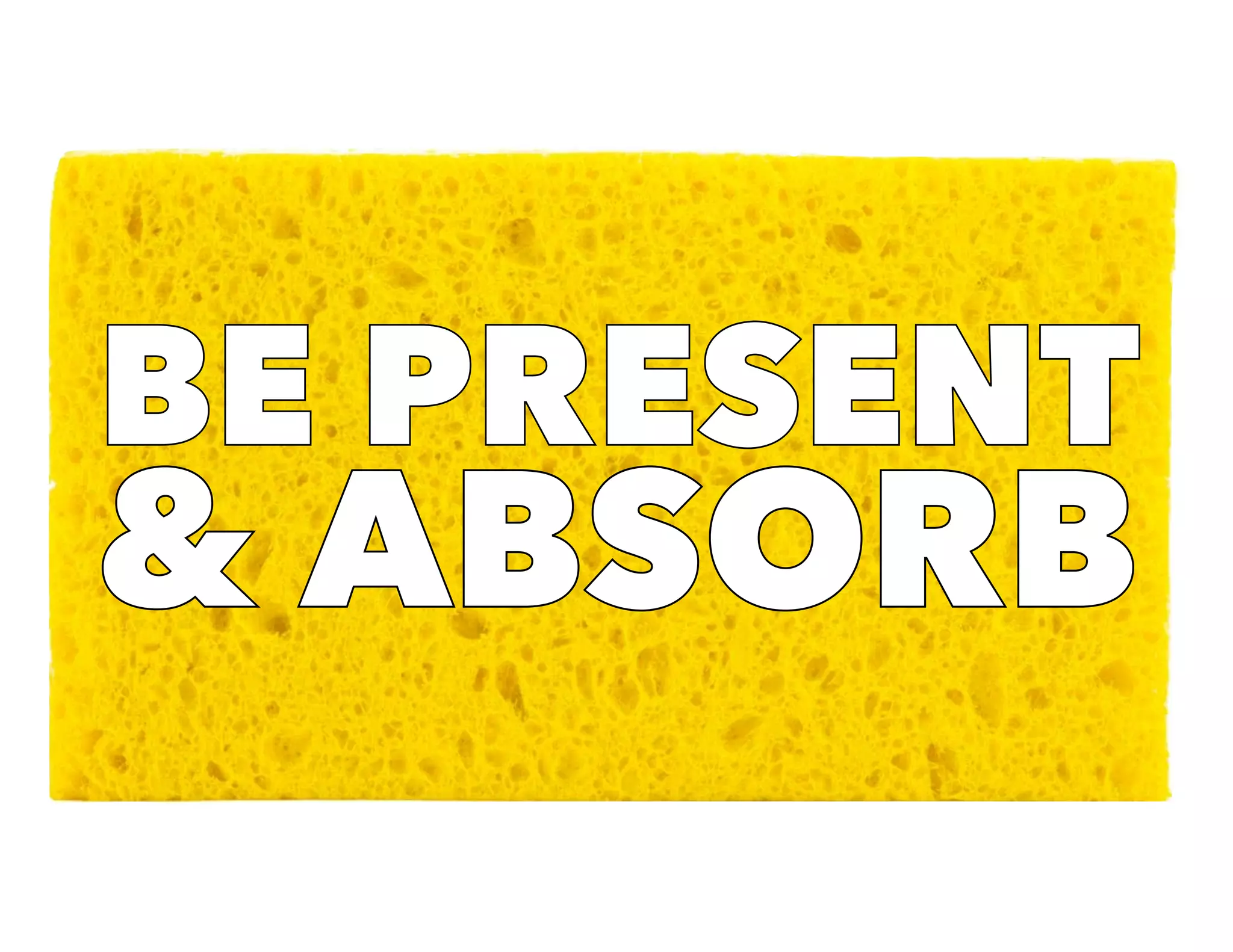 BE PRESENT
& ABSORB
BE PRESENT
& ABSORB
 