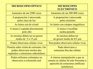 MICROSCOPIO ÓPTICO                           MICROSCOPIO
                                                ELECTRÓNICO
    Aumentos de ata 2500 veces           Aumentos de ata 500 000 veces
    A preparación é atravesada             A preparación é atravesada
        polos raios de luz                       polos electróns
      As lentes son de cristal          As lentes son campos magnéticos
  A imaxe é captada directamente               A imaxe é recollida
             polo ollo                           nunha pantalla
  As mostras deben ter un grosor              As mostras deben ter
      medio de 5 a 15 µm                   un grosor medio de 0,5 µm
  Poden observarse células vivas       Non poden observarse células vivas
Permite unha visión de conxunto. On             Pode observarse a
   poden observarse moitos dos              estructura fina das células
orgánulos e estructuras subcelulares
   Poden utilizarse colorantes ou        A intensa manipulación a que se
    observarse a coloración real       somete as células fai más frecuente a
                                        aparición de estructuras artificiais
                                                   (artefactos)
 