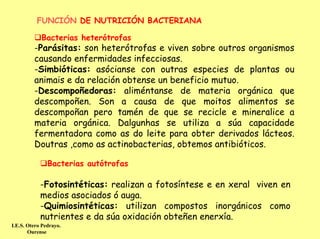 FUNCIÓN DE NUTRICIÓN BACTERIANA

            Bacterias heterótrofas
         -Parásitas: son heterótrofas e viven sobre outros organismos
         causando enfermidades infecciosas.
         -Simbióticas: asócianse con outras especies de plantas ou
         animais e da relación obtense un beneficio mutuo.
         -Descompoñedoras: aliméntanse de materia orgánica que
         descompoñen. Son a causa de que moitos alimentos se
         descompoñan pero tamén de que se recicle e mineralice a
         materia orgánica. Dalgunhas se utiliza a súa capacidade
         fermentadora como as do leite para obter derivados lácteos.
         Doutras ,como as actinobacterias, obtemos antibióticos.

               Bacterias autótrofas

            -Fotosintéticas: realizan a fotosíntese e en xeral viven en
            medios asociados ó auga.
            -Quimiosintéticas: utilizan compostos inorgánicos como
            nutrientes e da súa oxidación obteñen enerxía.
I.E.S. Otero Pedrayo.
       Ourense
 