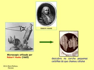 Microscopio utilizado por
     Robert Hooke (1665)
                                 descubre no corcho pequenas
                                 celdiñas ás que chamou células
I.E.S. Otero Pedrayo.
       Ourense
 