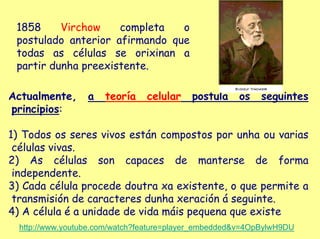 1858     Virchow    completa   o
 postulado anterior afirmando que
 todas as células se orixinan a
 partir dunha preexistente.

Actualmente,      a   teoría    celular    postula    os    seguintes
principios:

1) Todos os seres vivos están compostos por unha ou varias
 células vivas.
2) As células son capaces de manterse de forma
 independente.
3) Cada célula procede doutra xa existente, o que permite a
 transmisión de caracteres dunha xeración á seguinte.
4) A célula é a unidade de vida máis pequena que existe
  http://www.youtube.com/watch?feature=player_embedded&v=4OpBylwH9DU
 