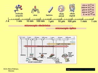 I.E.S. Otero Pedrayo.   Fonte: http://www.eui.upm.es/~wfa/nucleo01.pdf
       Ourense
 