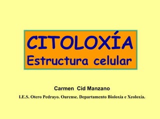 CITOLOXÍA
   Estructura celular

                 Carmen Cid Manzano
I.E.S. Otero Pedrayo. Ourense. Departamento Bioloxía e Xeoloxía.
 