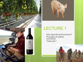LECTURE 1
• Why Agricultural Economics?
• Principles of welfare
economics
• Trade part I
 