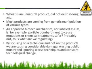 • Wheat is an unnatural product, did not exist so long
ago.
• Most products are coming from genetic manipulation
of various types
• An approved biotech mechanism, not labeled as GM,
is, for example, particle bombardment to cause
mutations or chemical treatments safer? Probably
not, thus what are we regulating?
• By focusing on a technique and not on the products
we are causing considerable damage, wasting public
money and ignoring worse techniques and constant
technological change.
 