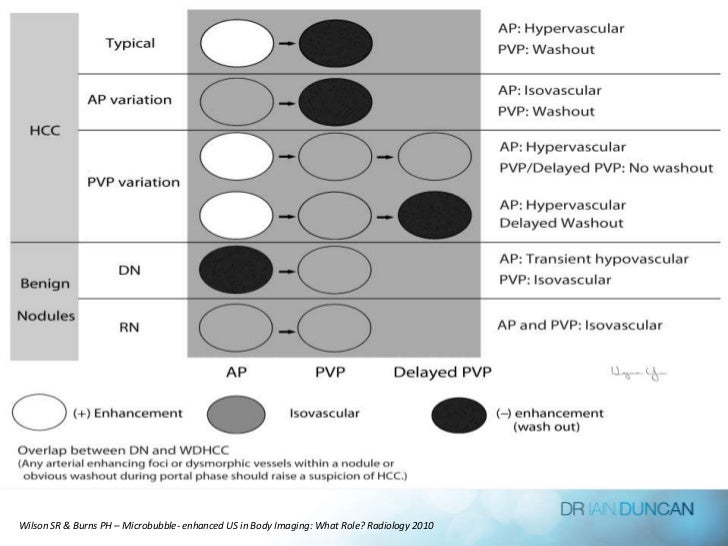 Contrast Enhanced Liver Ultrasound