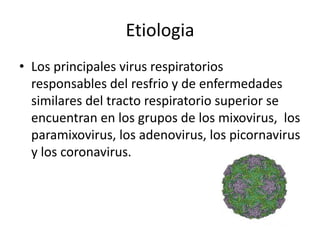 Etiologia
• Los principales virus respiratorios
responsables del resfrio y de enfermedades
similares del tracto respiratorio superior se
encuentran en los grupos de los mixovirus, los
paramixovirus, los adenovirus, los picornavirus
y los coronavirus.
 