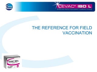 THE REFERENCE FOR FIELD 
VACCINATION 
 