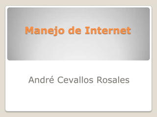 Manejo de Internet André Cevallos Rosales 