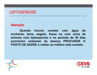 LEPTOSPIROSE


Atenção
      Quando houver contato com água de
enchente, lama, esgoto, fossa ou com urina de
animais com leptospirose e no período de 30 dias
ocorrerem sintomas da doença PROCURAR O
POSTO DE SAÚDE e relatar ao médico este contato.
 