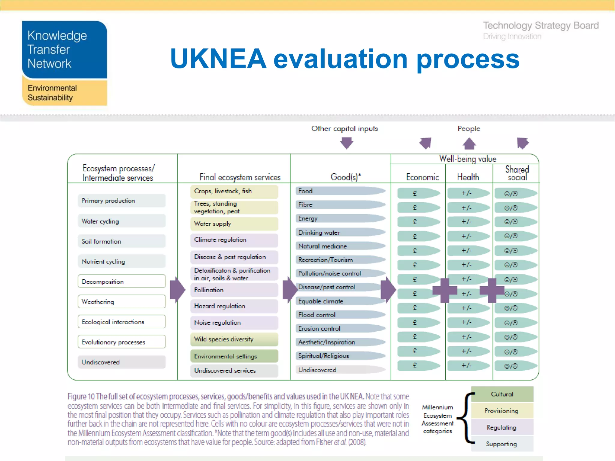 UKNEA evaluation process
 
