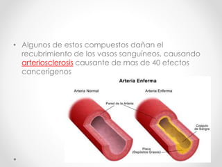 • Algunos de estos compuestos dañan el 
recubrimiento de los vasos sanguíneos, causando 
arteriosclerosis causante de mas de 40 efectos 
cancerígenos 
 