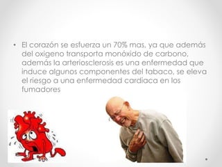 • El corazón se esfuerza un 70% mas, ya que además 
del oxigeno transporta monóxido de carbono, 
además la arteriosclerosis es una enfermedad que 
induce algunos componentes del tabaco, se eleva 
el riesgo a una enfermedad cardiaca en los 
fumadores 
 