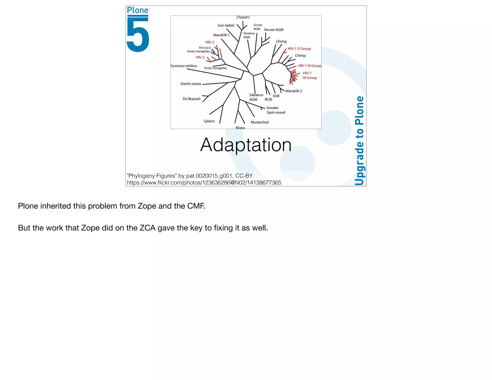 Adaptation
"Phylogeny Figures" by pat.0020015.g001, CC-BY
https://www.ﬂickr.com/photos/123636286@N02/14138677365
Plone inherited this problem from Zope and the CMF.

But the work that Zope did on the ZCA gave the key to ﬁxing it as well.

 