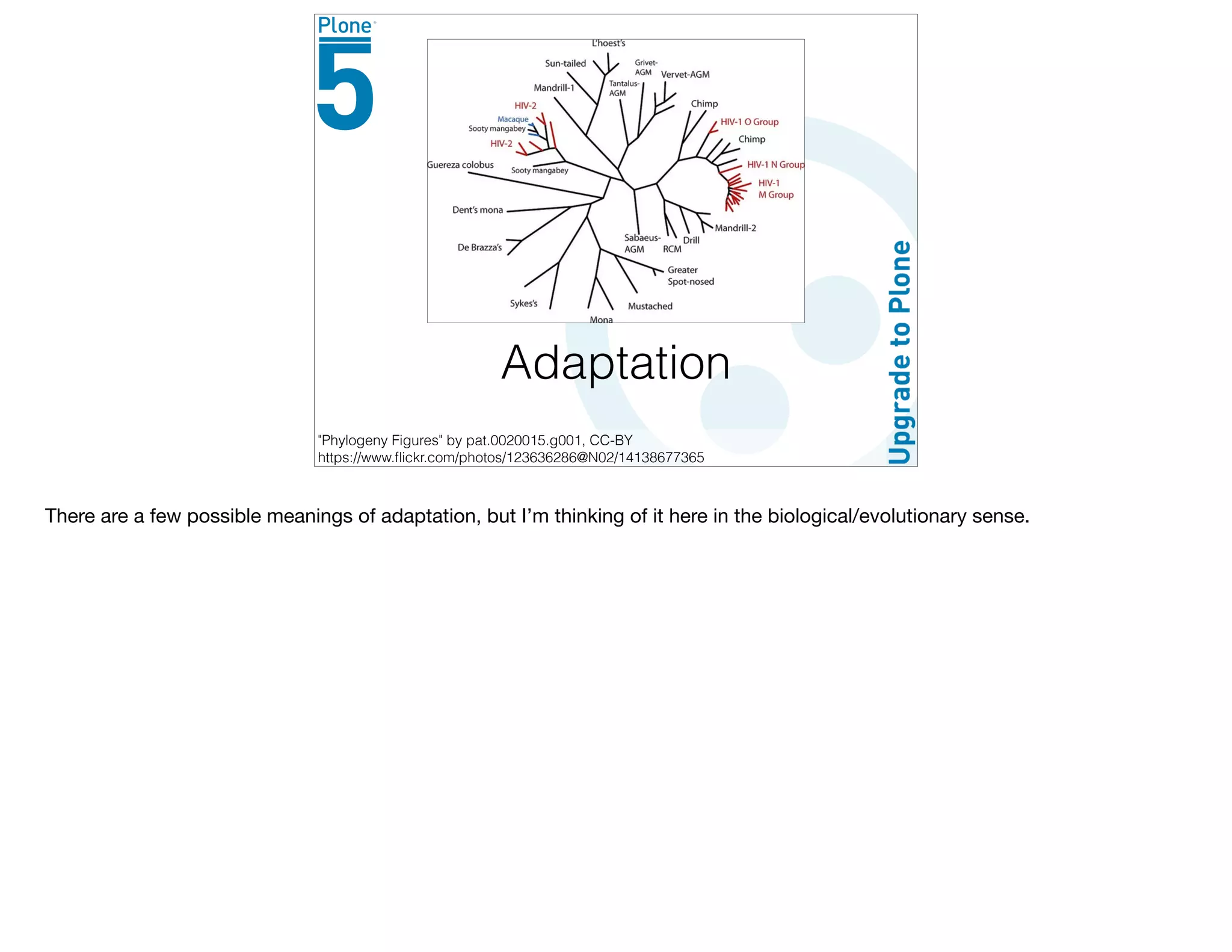Adaptation
"Phylogeny Figures" by pat.0020015.g001, CC-BY
https://www.ﬂickr.com/photos/123636286@N02/14138677365
There are a few possible meanings of adaptation, but I’m thinking of it here in the biological/evolutionary sense.
 