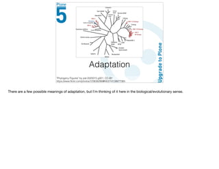 Adaptation
"Phylogeny Figures" by pat.0020015.g001, CC-BY
https://www.ﬂickr.com/photos/123636286@N02/14138677365
There are a few possible meanings of adaptation, but I’m thinking of it here in the biological/evolutionary sense.
 