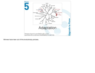 Adaptation
"Phylogeny Figures" by pat.0020015.g001, CC-BY
https://www.ﬂickr.com/photos/123636286@N02/14138677365
Winners have risen out of this evolutionary process.
 