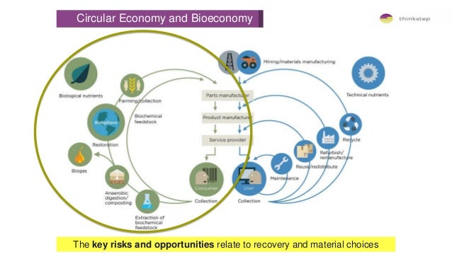 29 best circular economy images