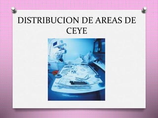 DISTRIBUCION DE AREAS DE
CEYE
 