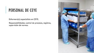 Ceye Rov diapositivas de ceye y sus áreas con sus características | PPTX