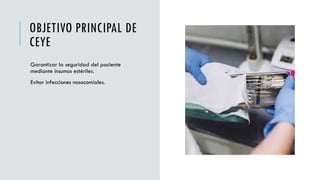 Ceye Rov diapositivas de ceye y sus áreas con sus características | PPTX