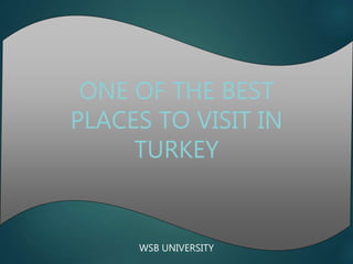 WSB UNIVERSITY
ONE OF THE BEST
PLACES TO VISIT IN
TURKEY
 