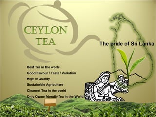 Best Tea in the world
Good Flavour / Taste / Variation
High in Quality
Sustainable Agriculture
Cleanest Tea in the world
Only Ozone friendly Tea in the World.
The pride of Sri Lanka
 