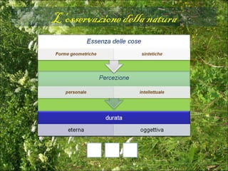 L’osservazione della natura
 