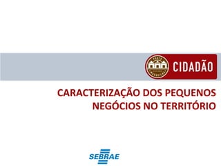CARACTERIZAÇÃO DOS PEQUENOS
      NEGÓCIOS NO TERRITÓRIO
 