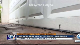 Toksyczna Floryda
Toksyczna Floryda
 