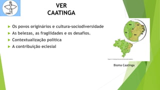 VER
CAATINGA
 Os povos originários e cultura-sociodiversidade
 As belezas, as fragilidades e os desafios.
 Contextualização política
 A contribuição eclesial
Bioma Caatinga
 