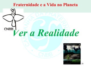 Fraternidade e a Vida no Planeta Ver a Realidade 