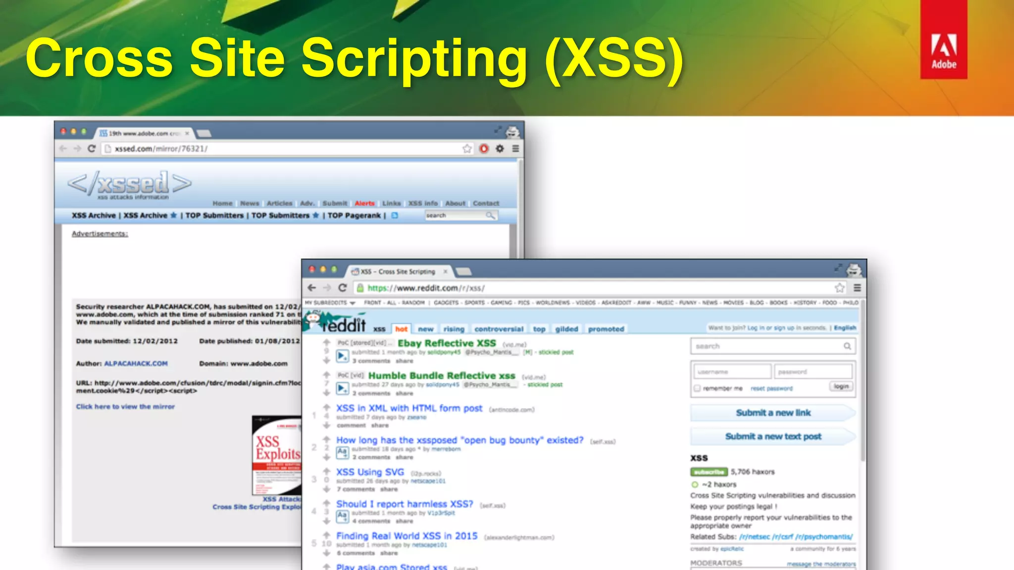 Cross Site Scripting (XSS)
 