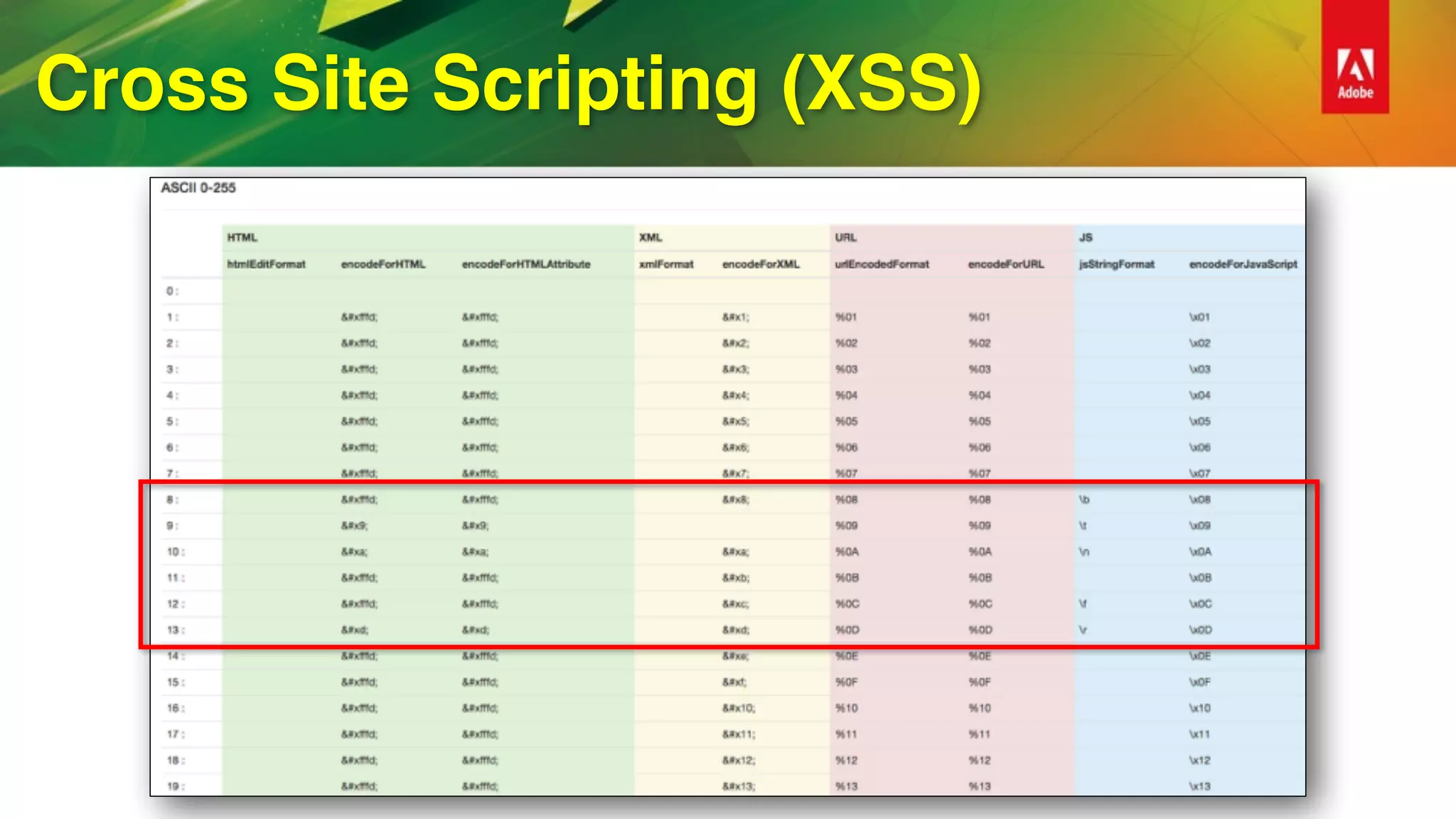 Cross Site Scripting (XSS)
 
