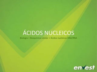 ÁCIDOS NUCLEICOS
Biologia > Bioquímica celular > Ácidos nucleicos DNA/RNA
 
