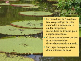 CAMPANHA FRATERNIDADE 2017 29
 Os moradores da Amazônia
temos o privilégio de estar
chamados a administrar e
cuidar este pedaço
maravilhoso da Criação que é
a região amazônica.
 O bioma amazônico é um dos
mais ricos em vida e
diversidade de todo o mundo.
 Um lugar bom para se viver
desde milhares de anos.
 