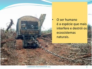 CAMPANHA FRATERNIDADE 2017 31
• O ser humano
é a espécie que mais
interfere e destrói os
ecossistemas
naturais.
 