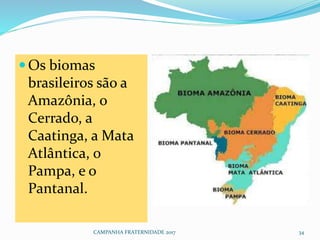Os biomas
brasileiros são a
Amazônia, o
Cerrado, a
Caatinga, a Mata
Atlântica, o
Pampa, e o
Pantanal.
CAMPANHA FRATERNIDADE 2017 34
 