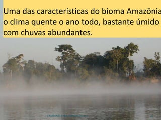 CAMPANHA FRATERNIDADE 2017 42
Uma das características do bioma Amazônia
o clima quente o ano todo, bastante úmido
com chuvas abundantes.
 