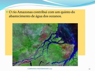  O rio Amazonas contribui com um quinto do
abastecimento de água dos oceanos.
CAMPANHA FRATERNIDADE 2017 44
 