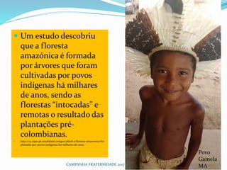 CAMPANHA FRATERNIDADE 2017 55
 Um estudo descobriu
que a floresta
amazónica é formada
por árvores que foram
cultivadas por povos
indígenas há milhares
de anos, sendo as
florestas “intocadas” e
remotas o resultado das
plantações pré-
colombianas.
 http://24.sapo.pt/atualidade/artigos/afinal-a-floresta-amazonica-foi-
plantada-por-povos-indigenas-ha-milhares-de-anos
Aldeia do povo tupari no
Rio Branco RO
Povo
Gamela
MA
 