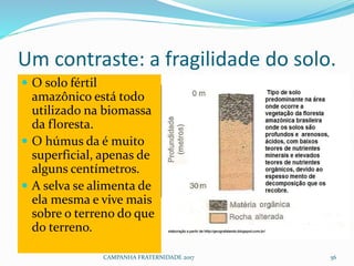 Um contraste: a fragilidade do solo.
 O solo fértil
amazônico está todo
utilizado na biomassa
da floresta.
 O húmus da é muito
superficial, apenas de
alguns centímetros.
 A selva se alimenta de
ela mesma e vive mais
sobre o terreno do que
do terreno.
CAMPANHA FRATERNIDADE 2017 56
 