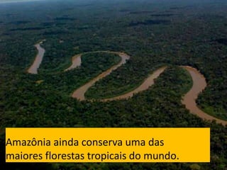 CAMPANHA FRATERNIDADE 2017 59
Amazônia ainda conserva uma das
maiores florestas tropicais do mundo.
 