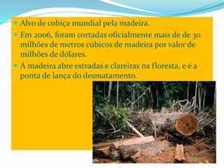  Alvo de cobiça mundial pela madeira.
 Em 2006, foram cortadas oficialmente mais de de 30
milhões de metros cúbic0s de madeira por valor de
milhões de dólares.
 A madeira abre estradas e clareiras na floresta, e é a
ponta de lança do desmatamento.
 