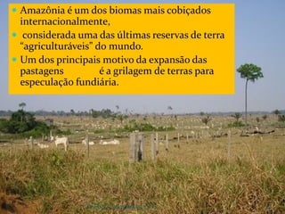  Amazônia é um dos biomas mais cobiçados
internacionalmente,
 considerada uma das últimas reservas de terra
“agriculturáveis” do mundo.
 Um dos principais motivo da expansão das
pastagens é a grilagem de terras para
especulação fundiária.
CAMPANHA FRATERNIDADE 2017 64
 