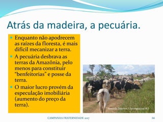 CAMPANHA FRATERNIDADE 2017 66
Atrás da madeira, a pecuária.
 Enquanto não apodrecem
as raízes da floresta, é mais
difícil mecanizar a terra.
 A pecuária desbrava as
terras da Amazônia, pelo
menos para constituir
“benfeitorias” e posse da
terra.
 O maior lucro provém da
especulação imobiliária
(aumento do preço da
terra).
Fazenda Interboi – Seringueiras RO
 