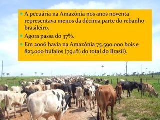 CAMPANHA FRATERNIDADE 2017 67
 A pecuária na Amazônia nos anos noventa
representava menos da décima parte do rebanho
brasileiro.
 Agora passa do 37%.
 Em 2006 havia na Amazônia 75.590.000 bois e
823.000 búfalos (79,1% do total do Brasil).
 