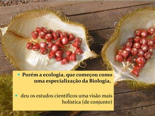 CAMPANHA FRATERNIDADE 2017 24
 Porém a ecologia, que começou como
uma especialização da Biologia,
 deu os estudos científicos uma visão mais
holística (de conjunto)
 