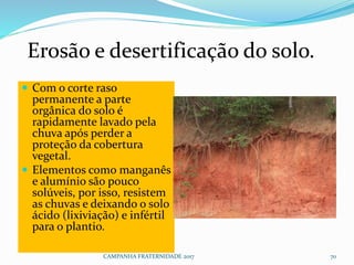  Com o corte raso
permanente a parte
orgânica do solo é
rapidamente lavado pela
chuva após perder a
proteção da cobertura
vegetal.
 Elementos como manganês
e alumínio são pouco
solúveis, por isso, resistem
as chuvas e deixando o solo
ácido (lixiviação) e infértil
para o plantio.
CAMPANHA FRATERNIDADE 2017 70
Erosão e desertificação do solo.
 