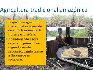 CAMPANHA FRATERNIDADE 2017 72
Indígena tupari
TI R Branco
 Enquanto a agricultura
tradicional indígena de
derrubada e queima da
floresta é rotatória.
 Abandonando a roça
depois do primeiro ou
segundo ano de
produção, dando tempo
a floresta de se
recuperar.
Agricultura tradicional amazônica
 